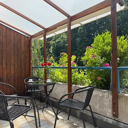 Gruene Oase Im Zentrum Mit Dachterrasse, Wlan, Lift Apartment *