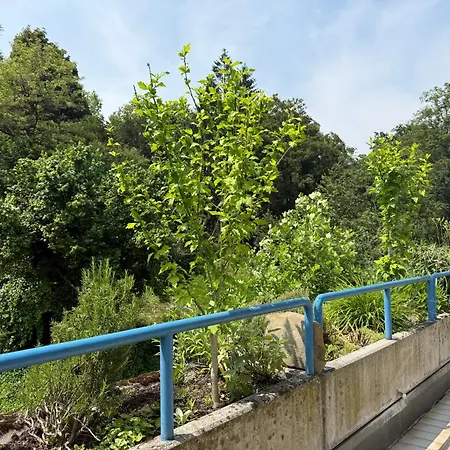 Gruene Oase Im Zentrum Mit Dachterrasse, Wlan, Lift